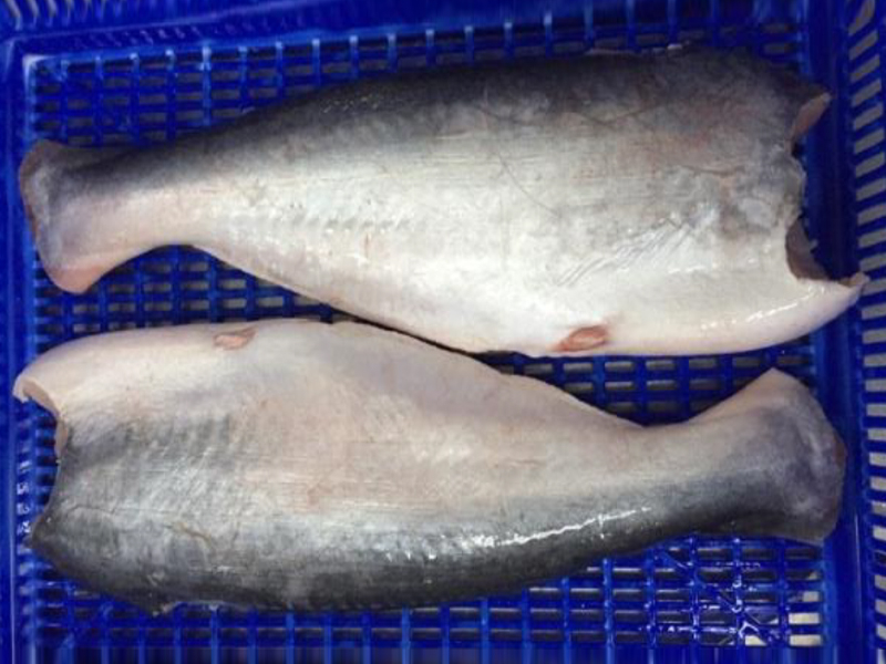 Pangasius HGT